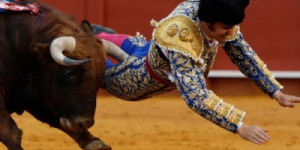 'Rei dos Toureiros' sofre ferimento grave após ser chifrado em Sevilha