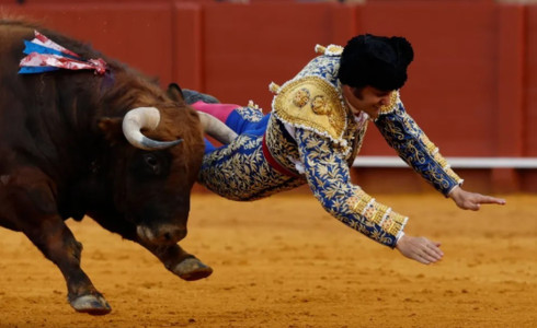 'Rei dos Toureiros' sofre ferimento grave após ser chifrado em Sevilha