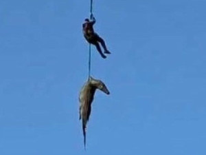 Policial é içado de helicóptero para resgatar restos mortais de homem devorado por crocodilo na África do Sul