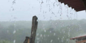 Funceme registra chuva em 46 pontos de coleta no Cariri - Veja