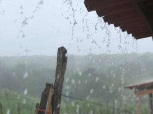 Funceme registra chuva em 46 pontos de coleta no Cariri - Veja