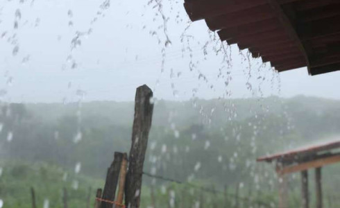 Funceme registra chuva em 46 pontos de coleta no Cariri - Veja
