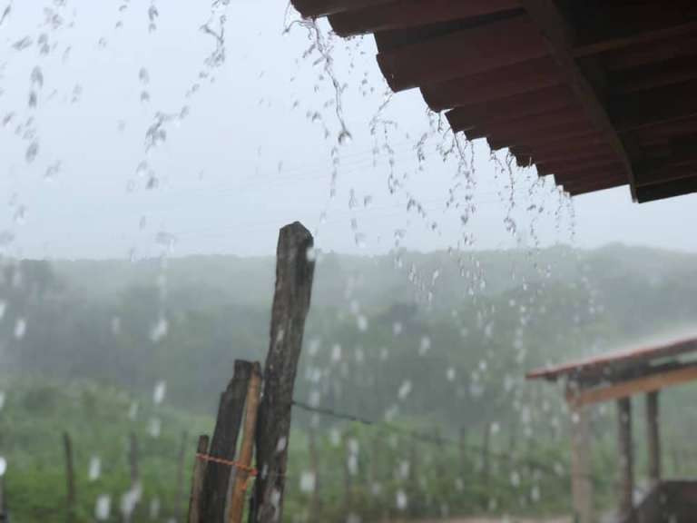 Funceme registra chuva em 46 pontos de coleta no Cariri - Veja