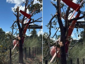 Helicóptero da dupla Henrique e Juliano cai em fazenda no Tocantins