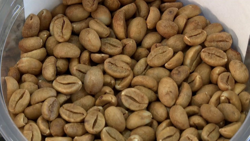 Café agroecológico ganha espaço no ES com produção sustentável e grãos com mais sabor