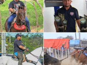 Campeão de vaquejada é assassinado a facadas no Ceará após recusar dividir dinheiro de premiação