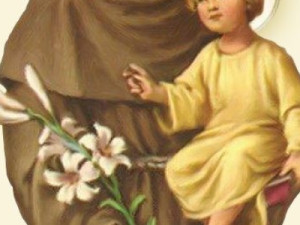 A História de Santo Antônio