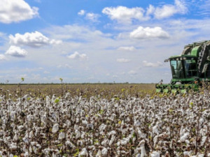 PIB do Ceará cresce 1,93% no primeiro trimestre de 2026 na comparação com igual período do ano passado
