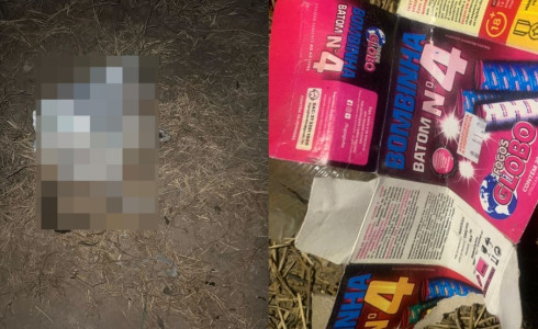 Três crianças e responsáveis são encaminhados à delegacia de Assaré por morte de gato com explosivos