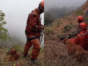 Cachorro fica 17 horas ao lado de bombeiros durante resgate de tutor em serra no Ceará