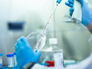 Brasil cria centro para pesquisar novos insumos farmacêuticos a partir da biodiversidade