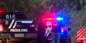 Idosa abandonada em ribanceira em SC ficou um dia e uma noite amarrada ao relento sob frio intenso, diz polícia