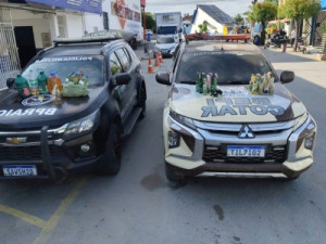 Dois suspeitos morrem e outro fica ferido em ação policial no interior do Ceará