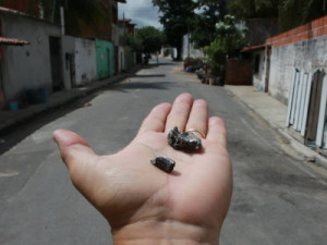 Ceará tem redução de 51,9% no número de mortes violentas no mês de julho, diz secretaria