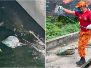 Dois corpos esquartejados são encontrados em canal em Fortaleza; ordem teria partido do Rio de Janeiro