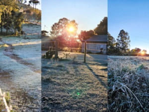 Vegetação coberta de gelo e mínima de -9°C marcam amanhecer na Serra de SC