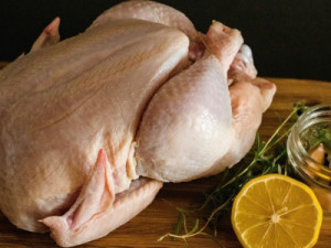 União Europeia deve voltar a comprar mel e carne de aves do Brasil, diz governo