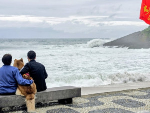 Primeiro dia útil depois do feriado será de chuva no Rio e SP e geada no Sul; veja previsão para todo o país