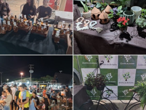 Feira, empreendedorismo e lançamento do Livro Ceará Gera Negócios com muito sucesso no Crato