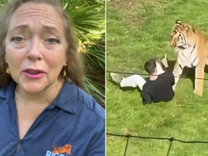 Tratadores dizem 'ter feito tudo o que podiam' para evitar que visitante de zoo fosse morto por tigre